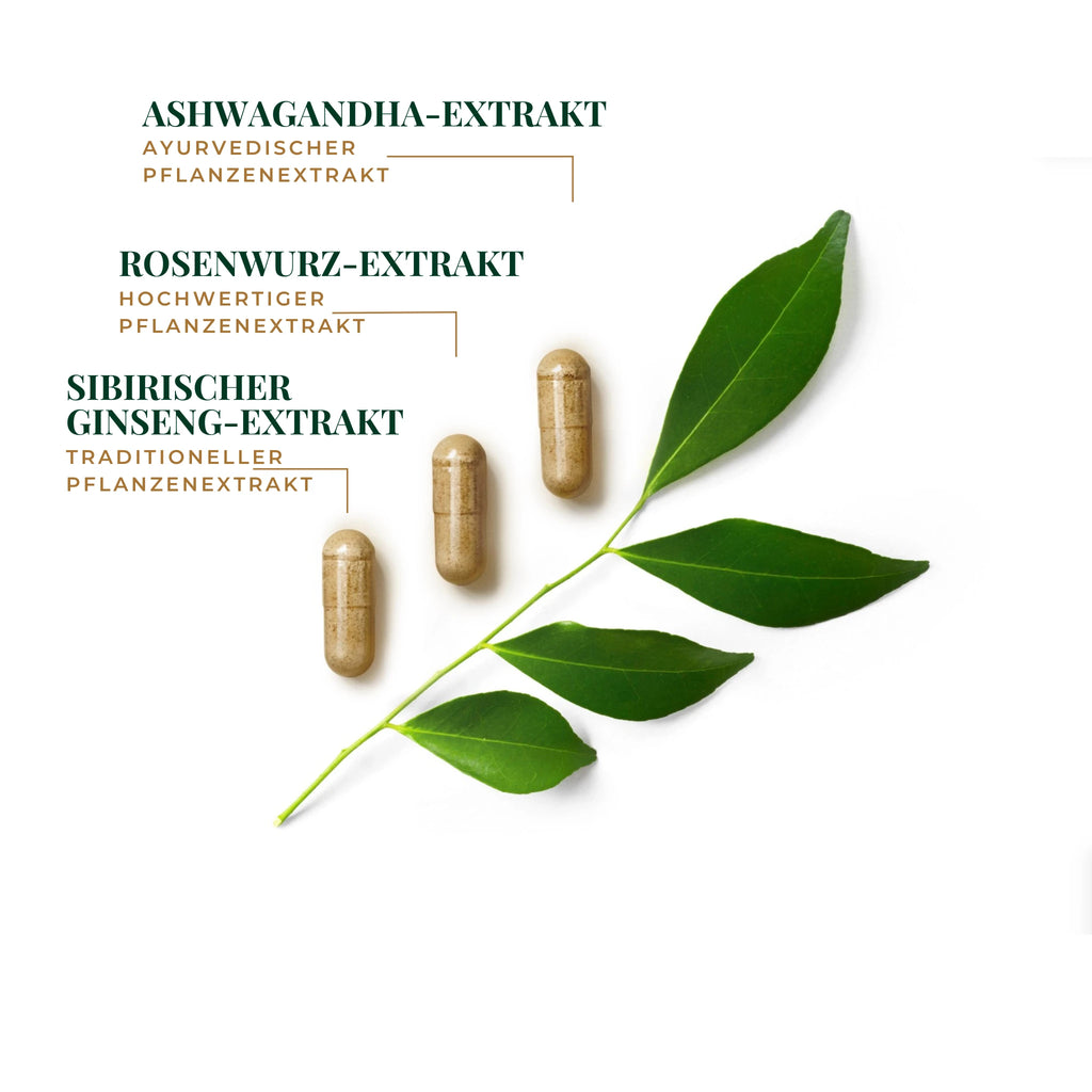 Ashwagandha, Rosenwurz und Sibirischer Ginseng in Caelonis Stress Balance