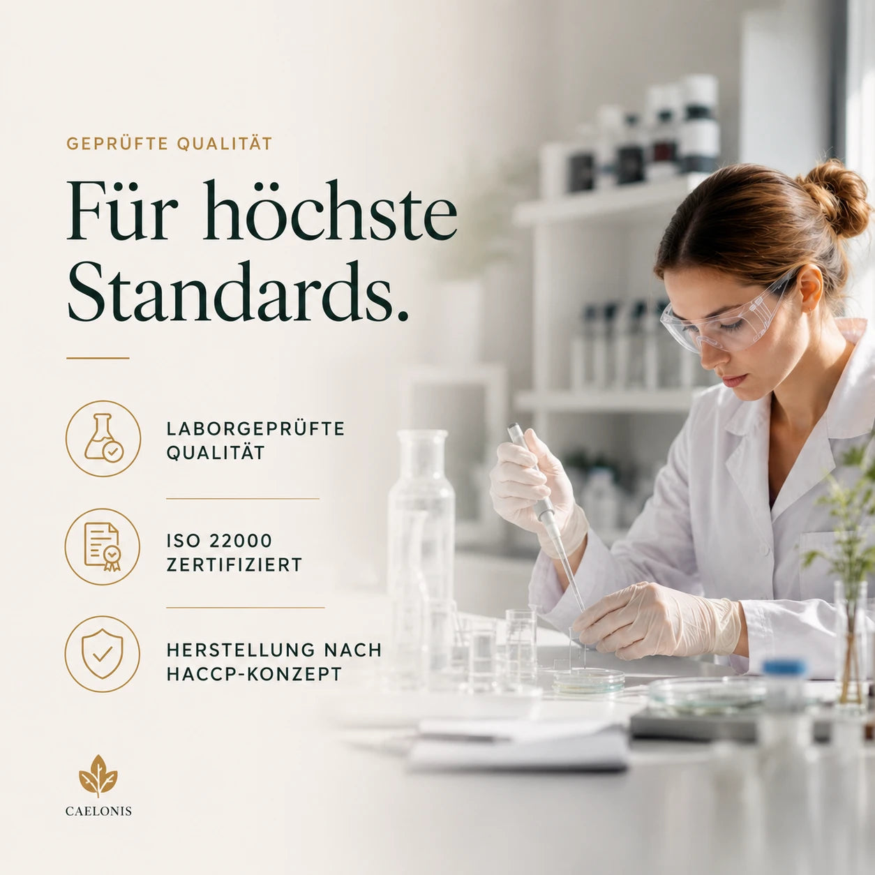 vitamine für immunsystem erwachsene